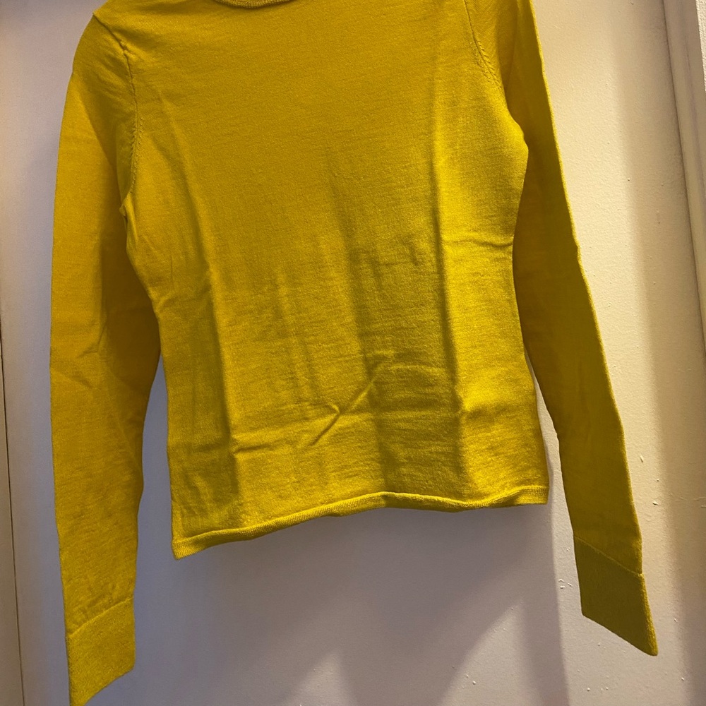 J Crew Carolyn Fitted Sweater in Merino Wool, size Medium